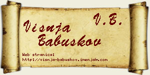 Višnja Babuškov vizit kartica